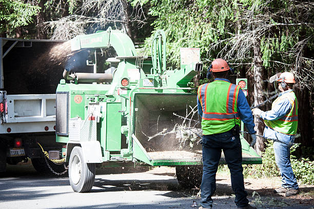 Seasonal Cleanup (Spring/Fall) in Spencerville, NM